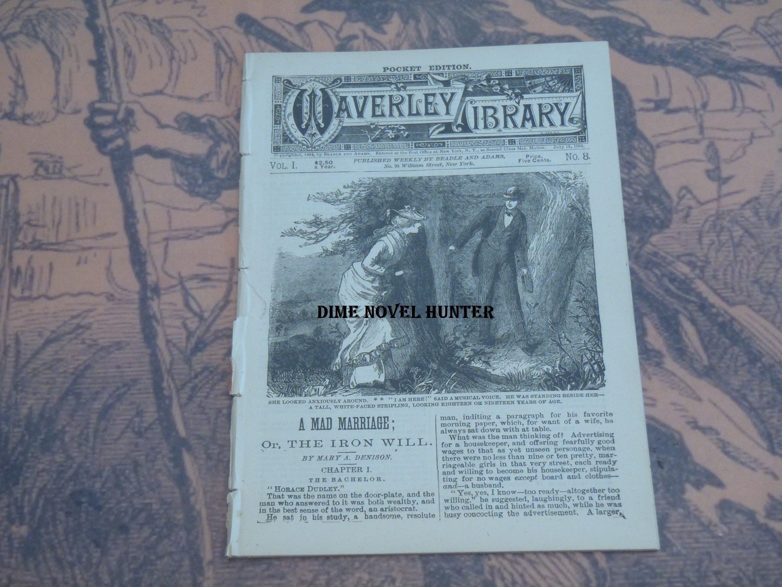 BEADLE & ADAMS WAVERLEY LIBRARY POCKET EDITION #08 MARY DENISON VG DIME NOVEL