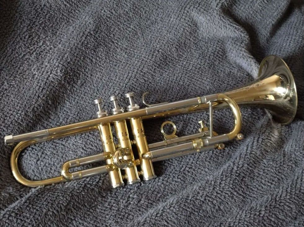 Melton B Trumpet with B&S semi-hard case