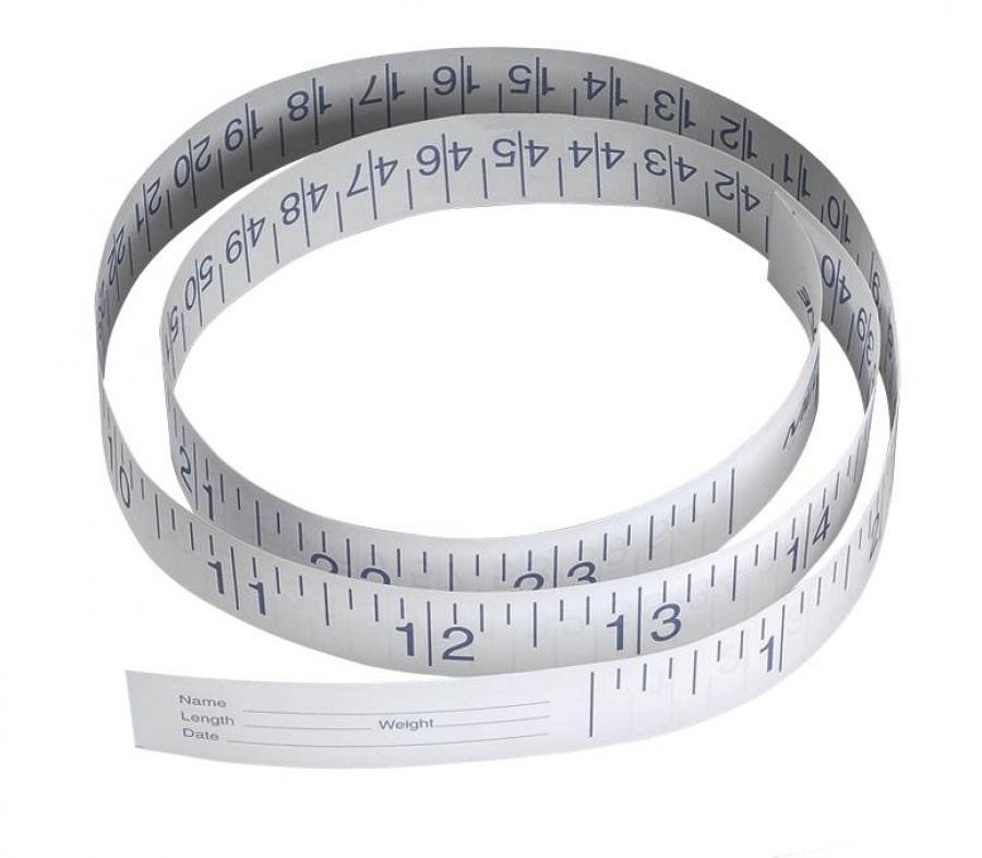 Medline Paper Measuring Tape, 72 Inches, Disposable, NON171333