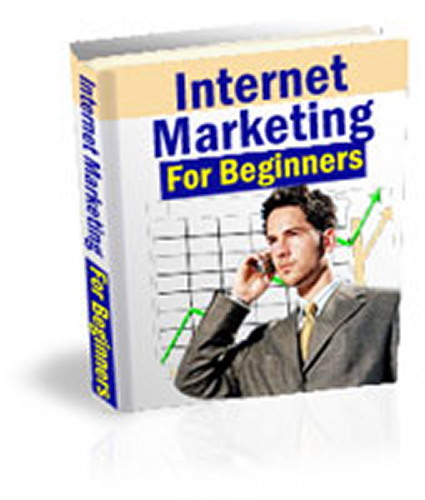 Internet Marketing For Beginners - How To Start & Setup Your Online Business (CD