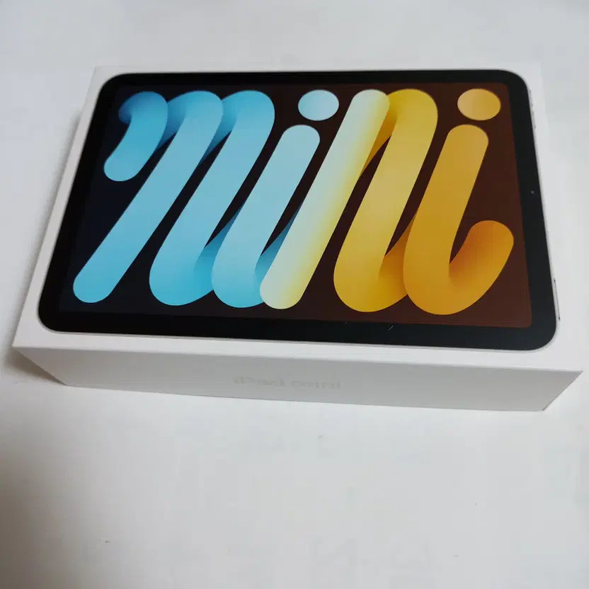 iPad Mini 6th Gen Wi-Fi+Cellular Empty Box Good Condition