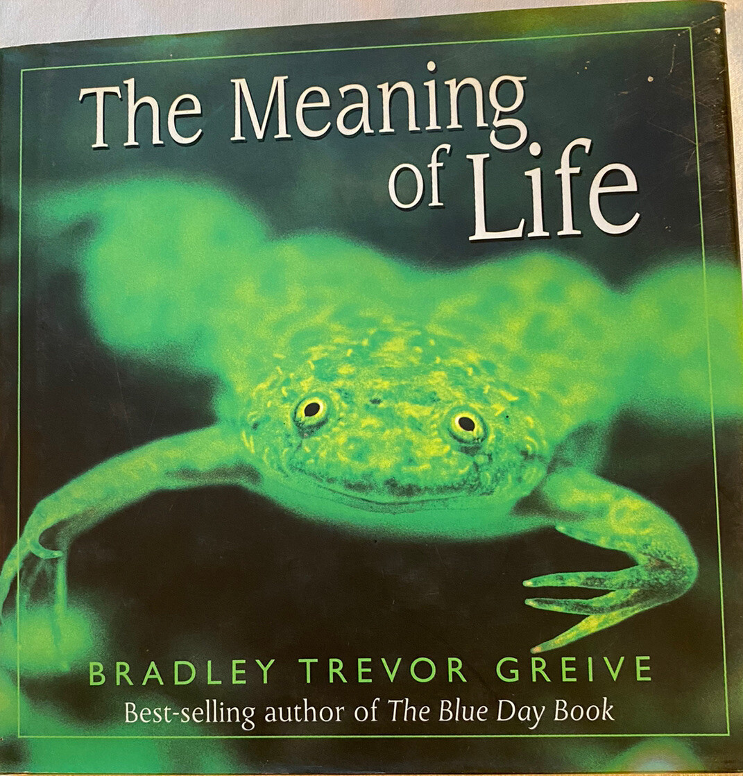 THE MEANING OF LIFE by Bradley T. Greive (FREE SHIPPING)