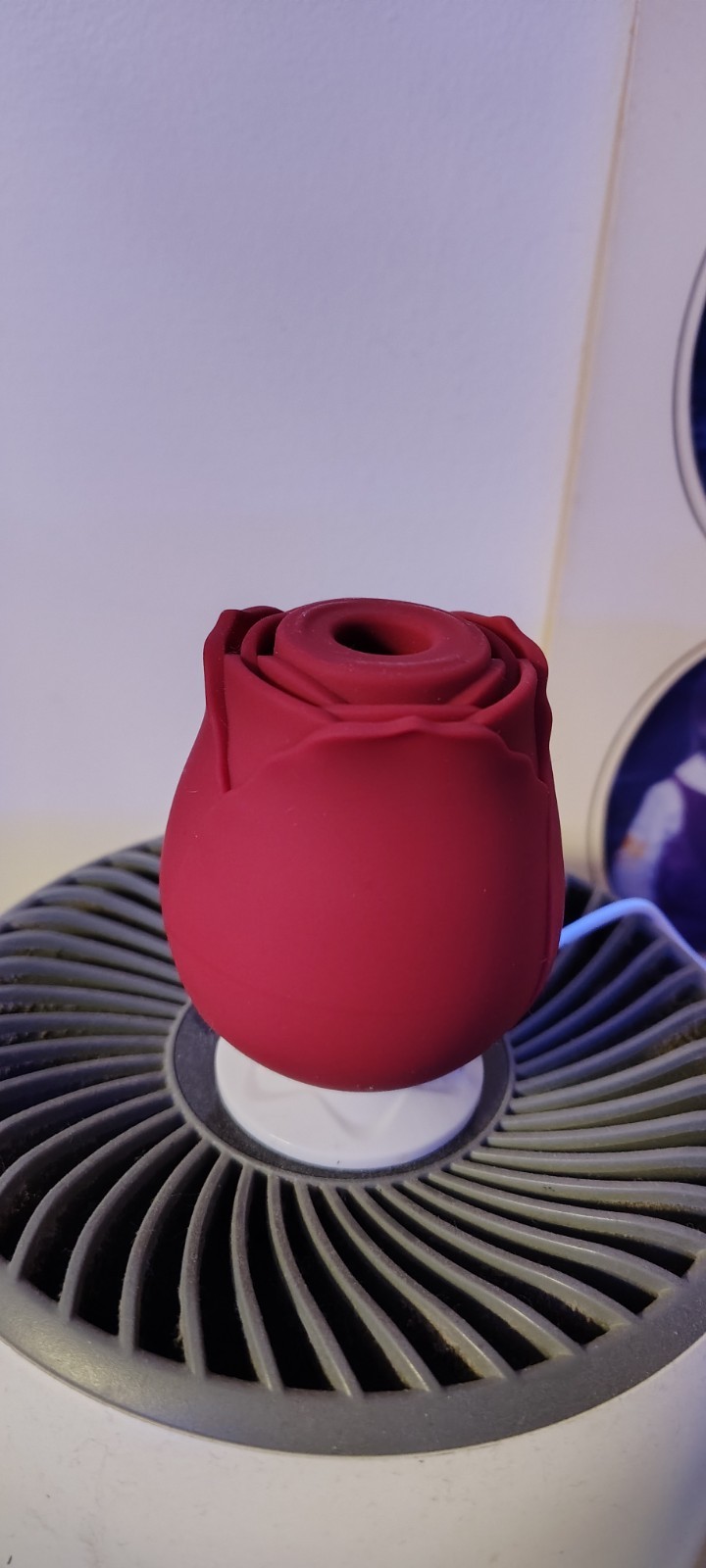 Happy Ending Rose Vibrators