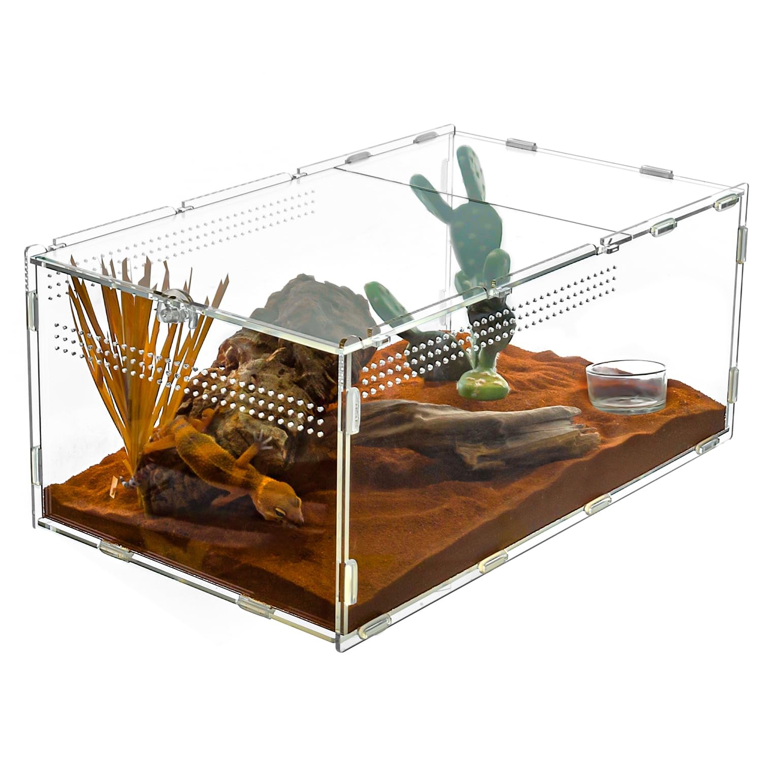 Large Tarantula Enclosure Spider Enclosure 14" X 8" X 6", 2 in 1 Acrylic Abor...