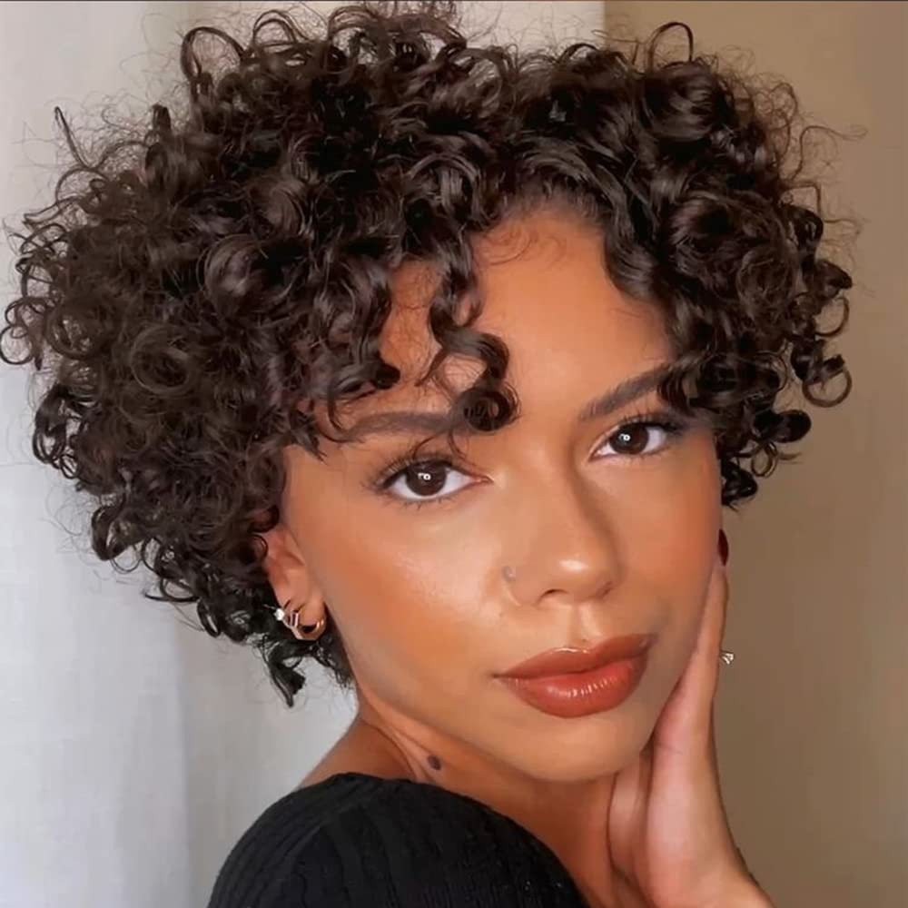 Short Curly Wigs for Black Women Human Hair Afro Natural Curly Wig Brazilian Vir
