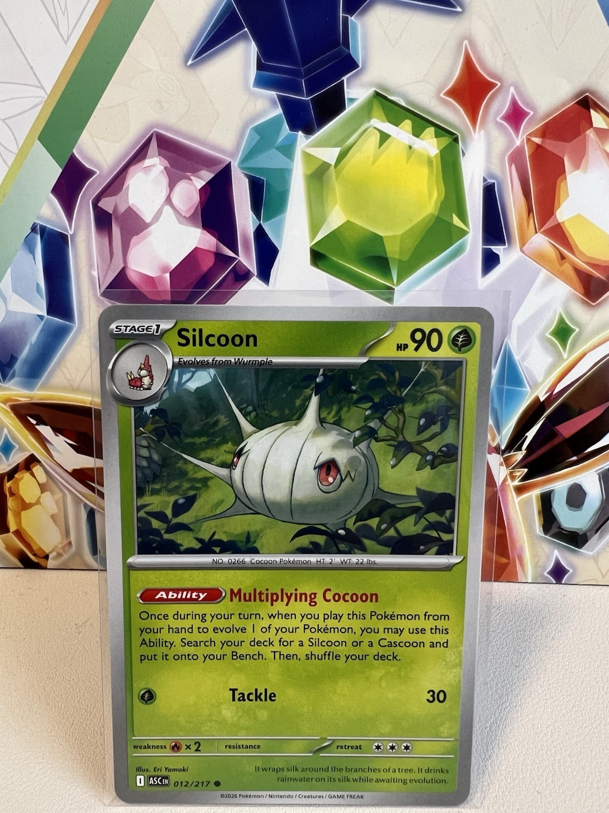 Silcoon 012/217 Common Regular - Pokemon TCG Ascended Heroes - NM