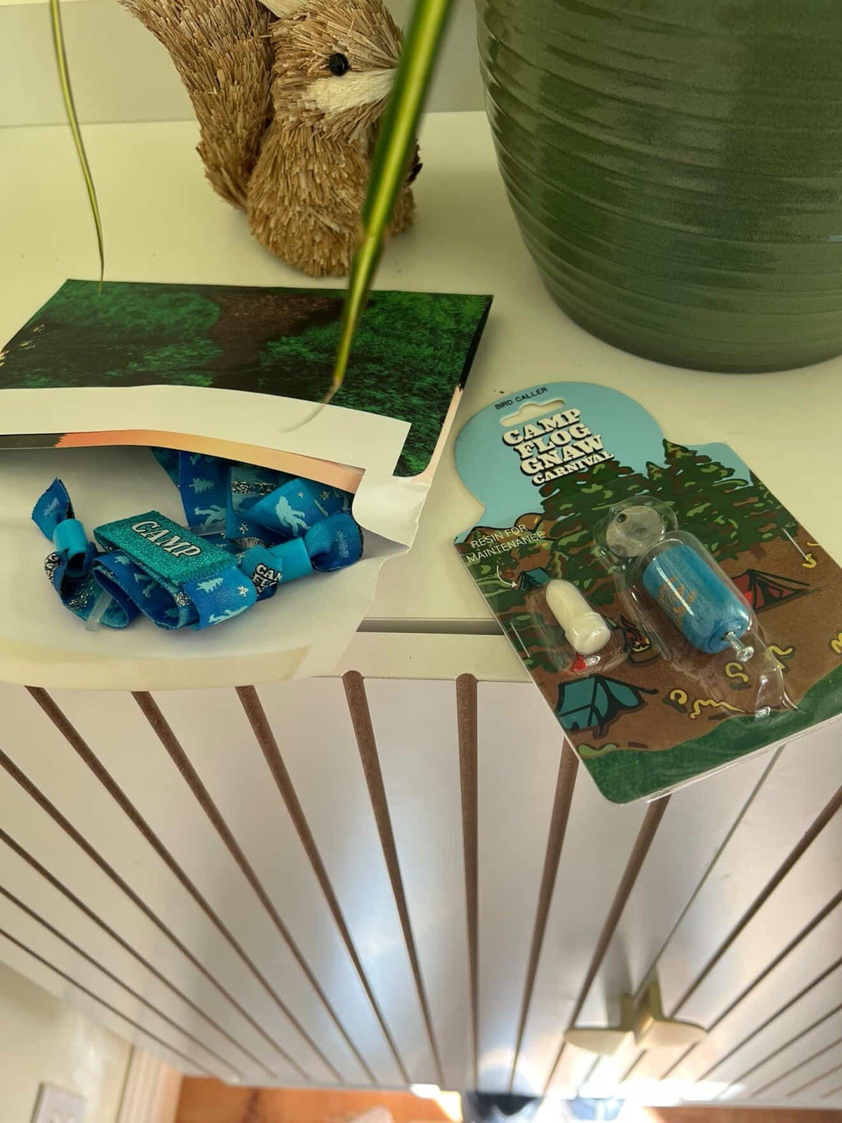 2025 Camp Flog Gnaw 2-DAY GA Wristband