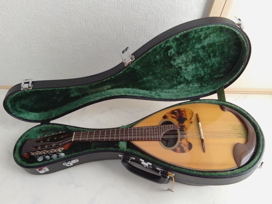 Kiso Suzuki Mandolin M-50 Supervised by Shojiro Ishikawa Venezia Hard case