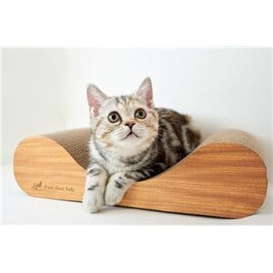 Garigari Sofa Scratcher Interior Mini Tea Brown (Pet Supplies) x2 Sets