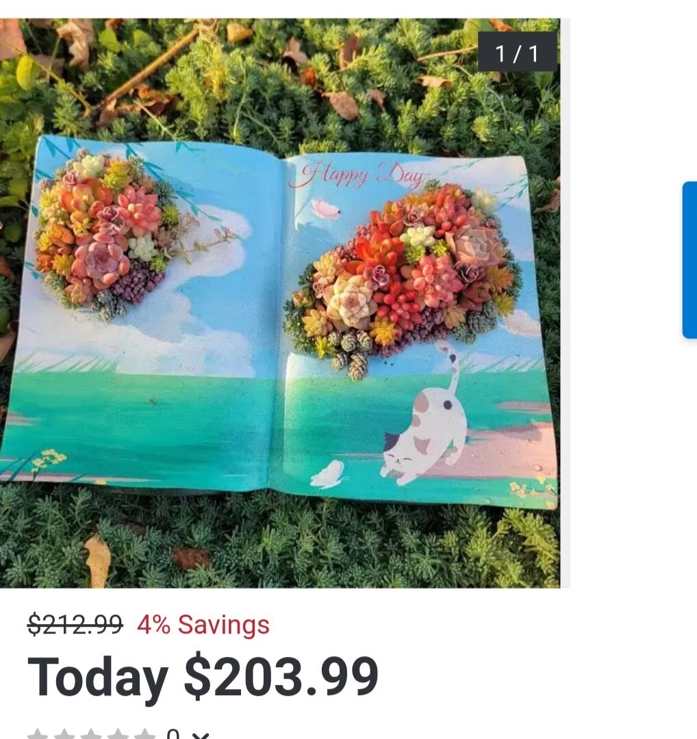 Succulent Plant In Cat Book Shaped Flowerpot