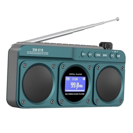 Small Digital FM Radiotooth Speaker, Handheld Rechargeable Radio Wireless Blue