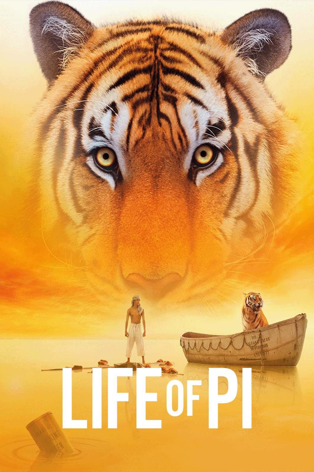 Life of Pi (DVD, 2012) -Disc Only-