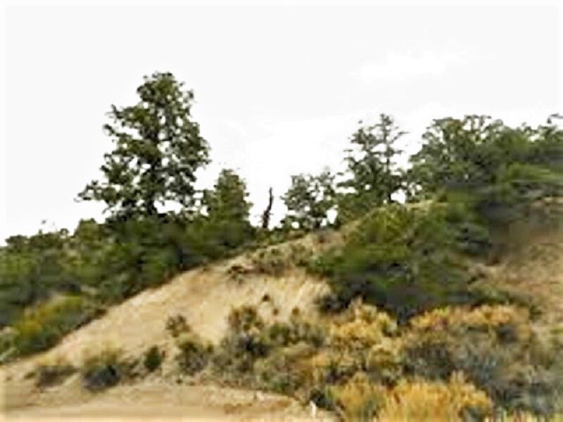 REDUCED 12.65 AC $21,000 CASH or FINANCING, SANGRE DE CRISTO RANCHES COLORADO