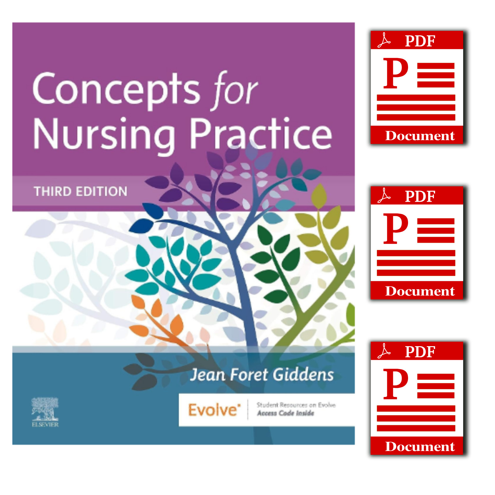 Concepts for Nursing Practice 3rd Edition