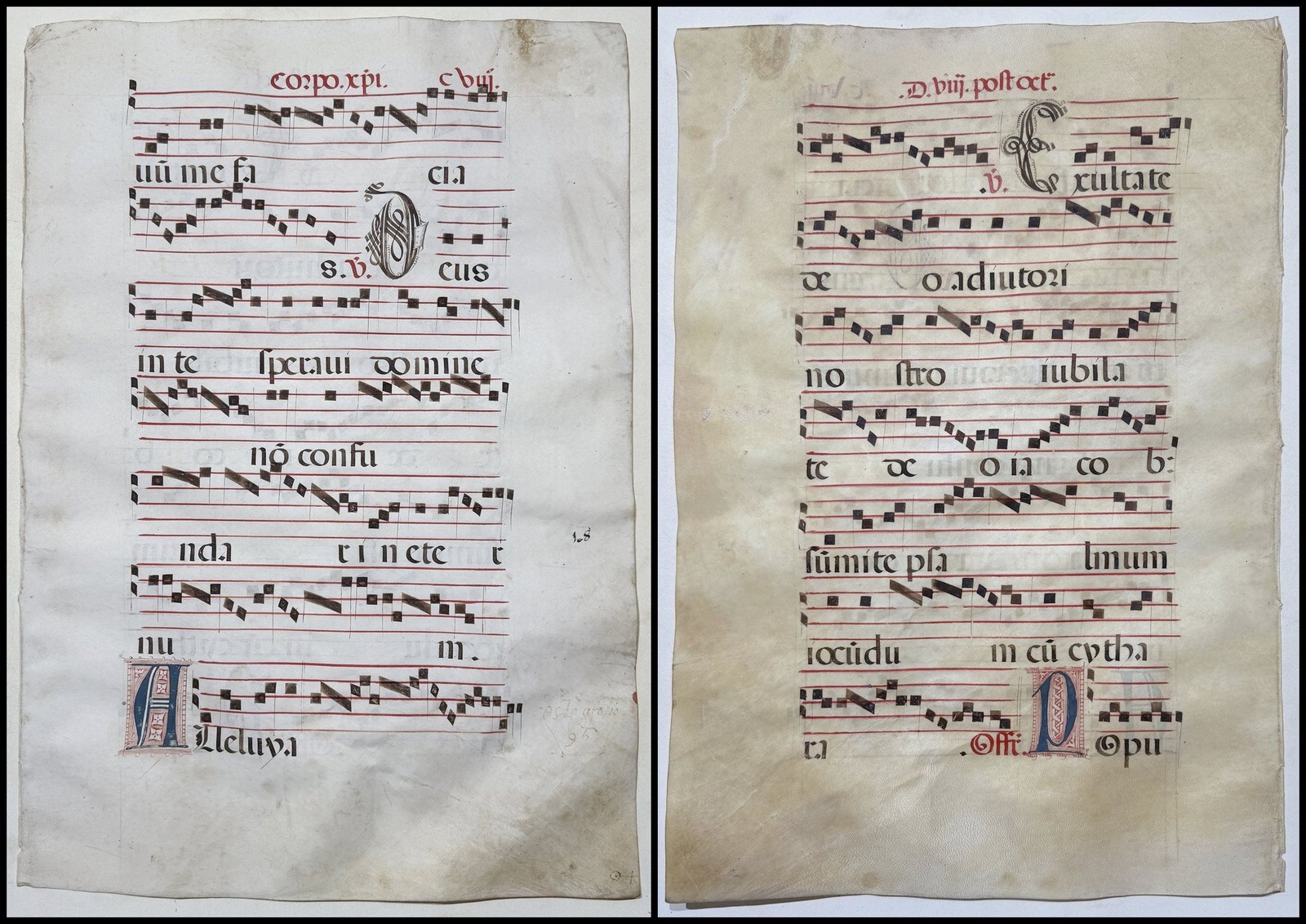 Antiphonar Antiphonary Parchment Vellum Manuscript 15th Century CVIII