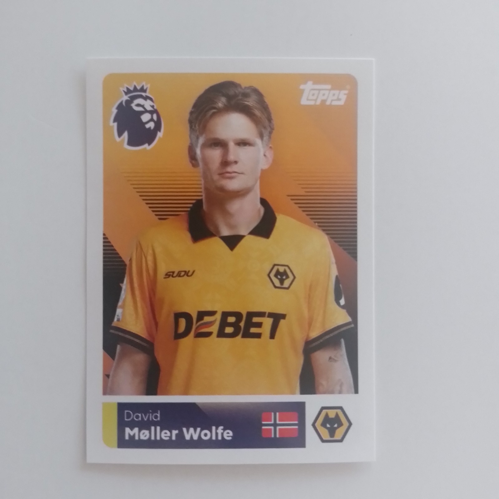 Topps Premier League Stickers  2026 - #536 David Moller Wolfe