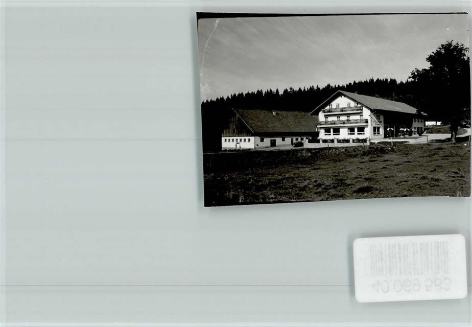 40069583 - 8373 Bodenmais Hotel Bohmhof