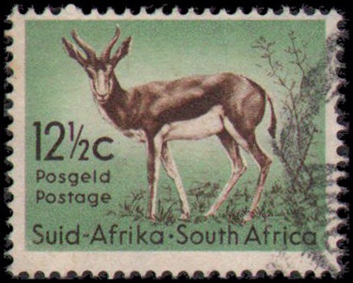 South Africa #250 Used