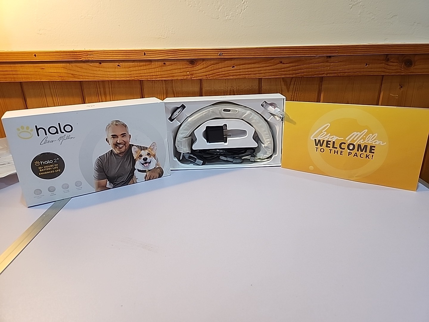 Halo 2+ White Size Small Dog Collar