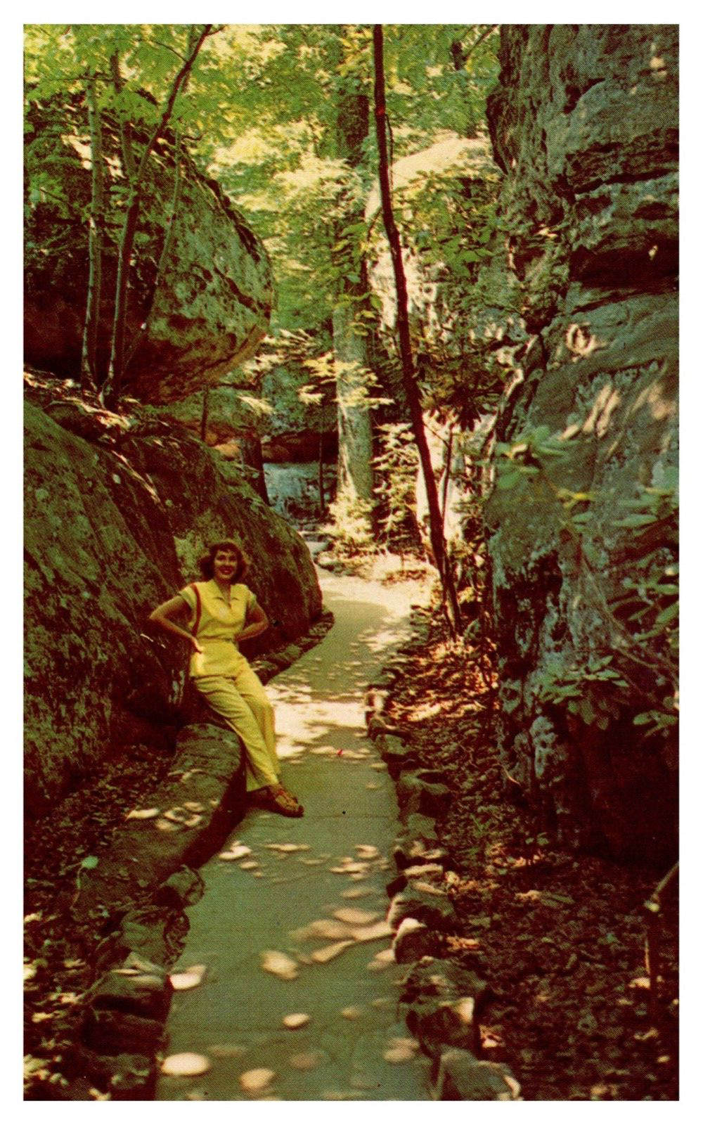 Chattanooga TN Enchanted Trail Rock City Lookout Mountain Chrome Postcard