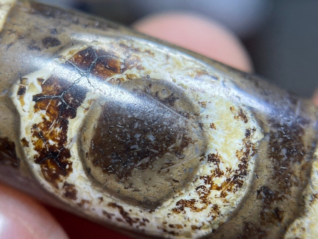 Old Tibetan Nepalese Himalayan Ancient  eye Old Dzi Talisman Beads Amulet 天地天珠