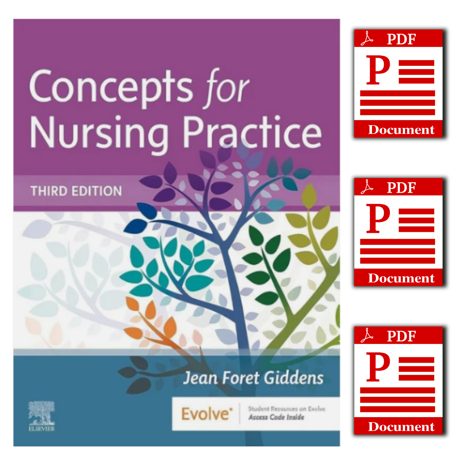 Concepts for Nursing Practice 3rd Edition