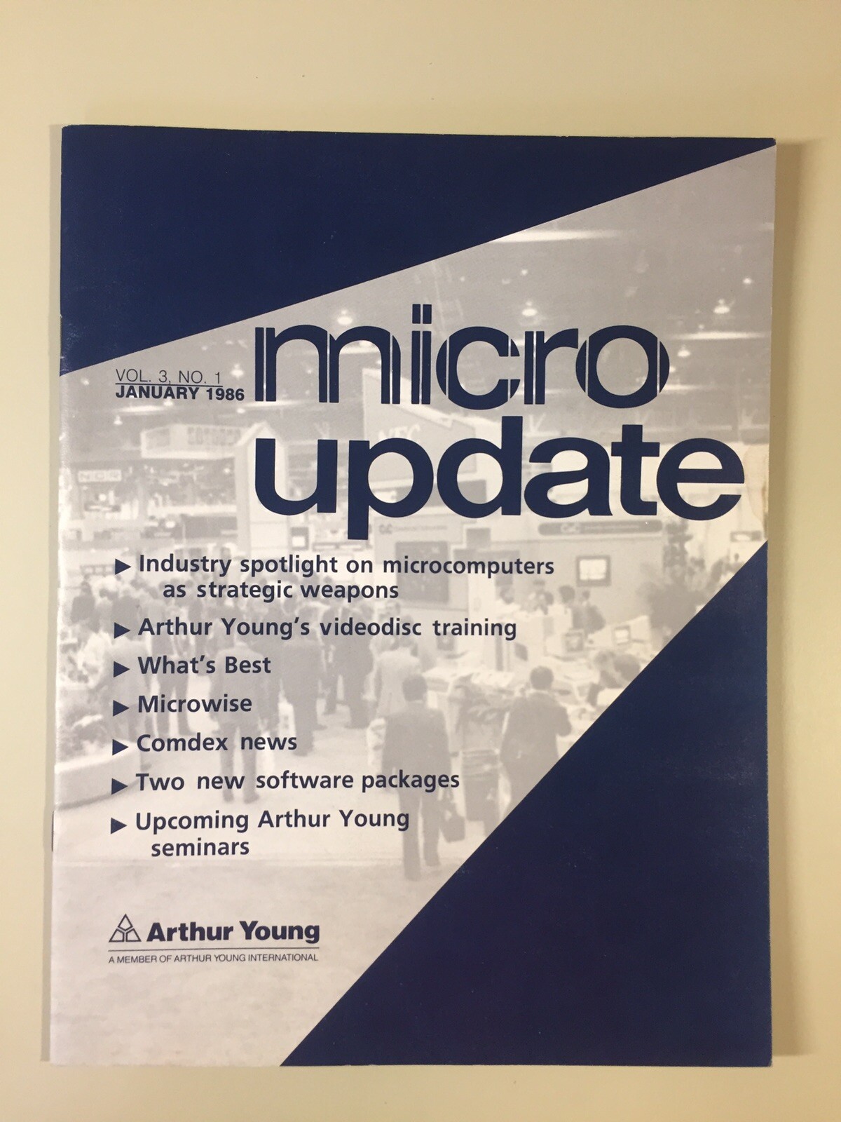 Vintage 1986 ARTHUR YOUNG Micro Update Vol 3 No 1