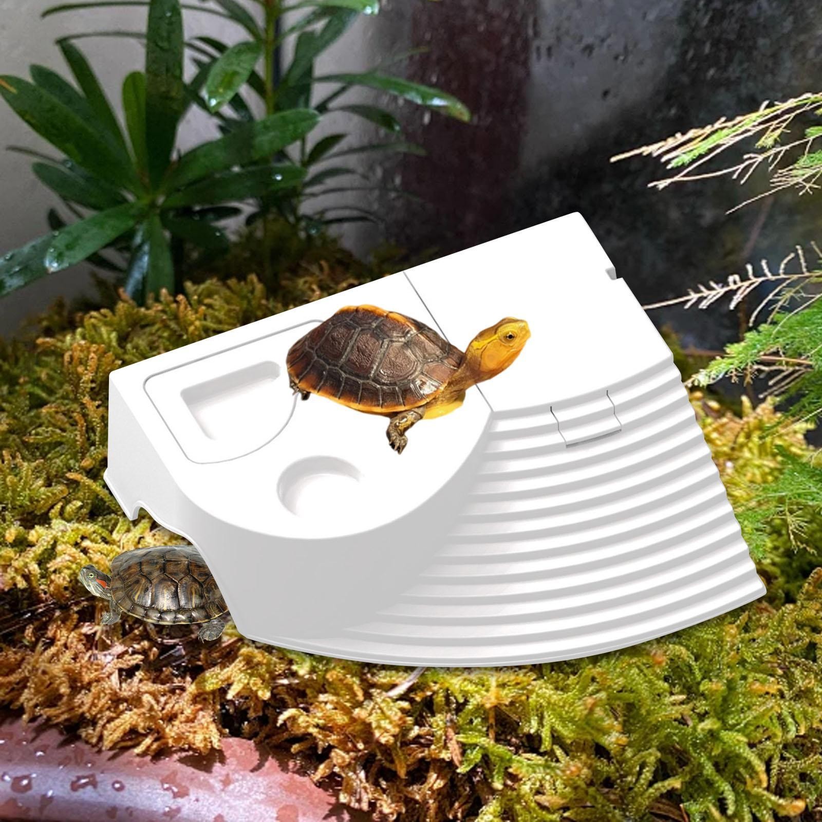 Resting Platform Turtle Tank Platform Fish Tank Accessory Tortoise Resting Dock