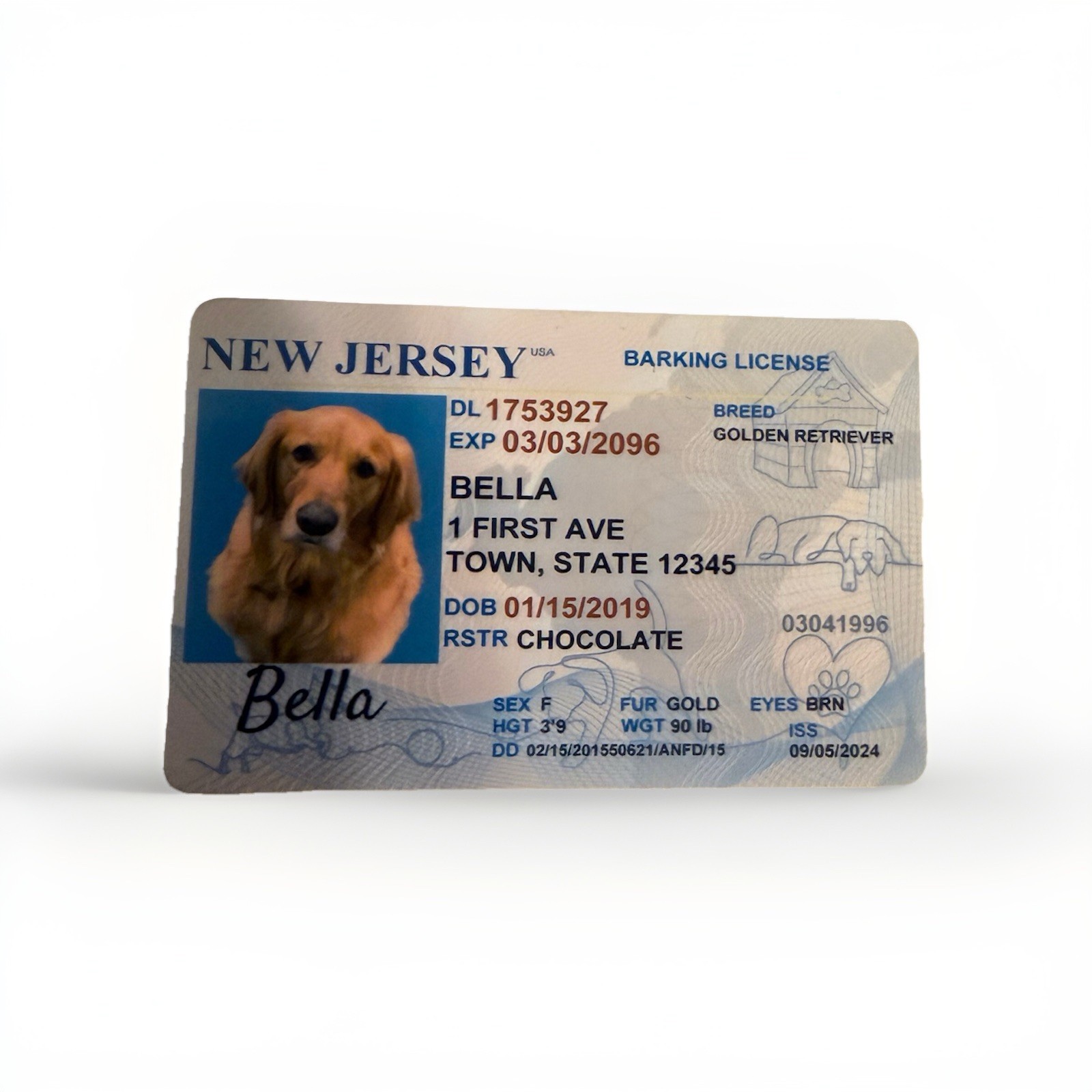 Pet Driver License
