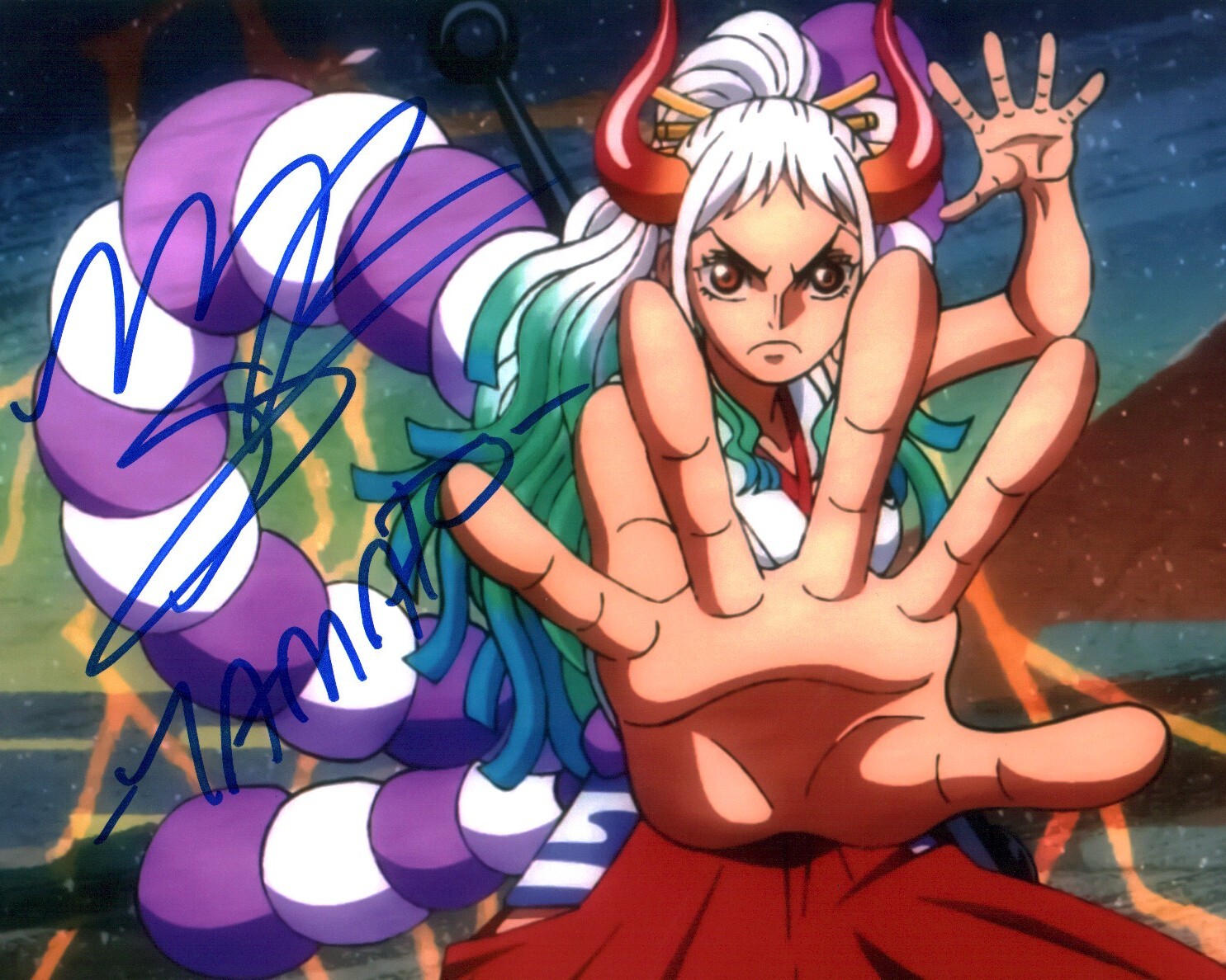 Michelle Rojas One Piece 8x10 Signed Photo JSA Certified Autograph