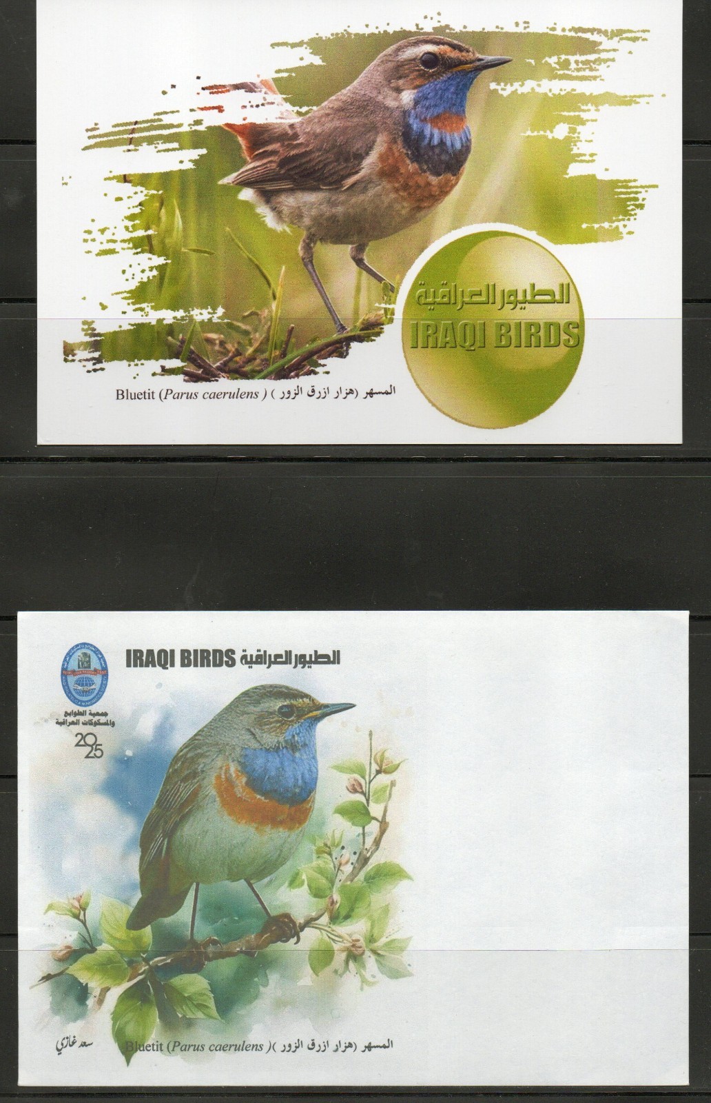 Postcard issued by the Iraqi Philatelic Society featuring the birds of Iraq2025