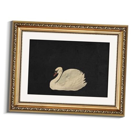  Gold Framed Wall Art Canvas Print Home Decor Vintage Swan 14"L x 11"W Zwaan