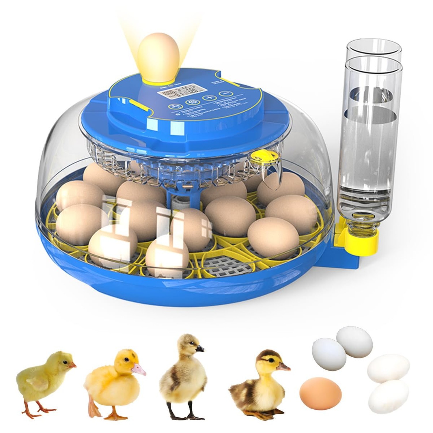 18 Egg Incubator – Automatic Egg Turning & Humidity Control, 360° Cle