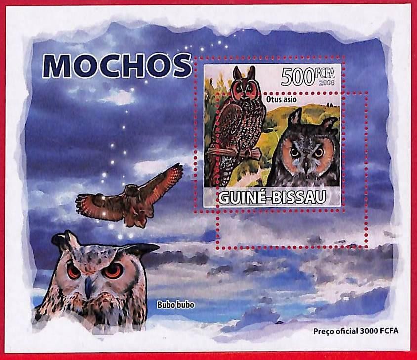 A5195 - GUINE-BISSAU - ERROR MISPERF Stamp Sheet - 2008 - Birds OWLS