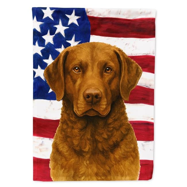 Carolines Treasures WDK6199CHF 40 x 28 in. Brown Chesapeake Bay Retriever Ame...