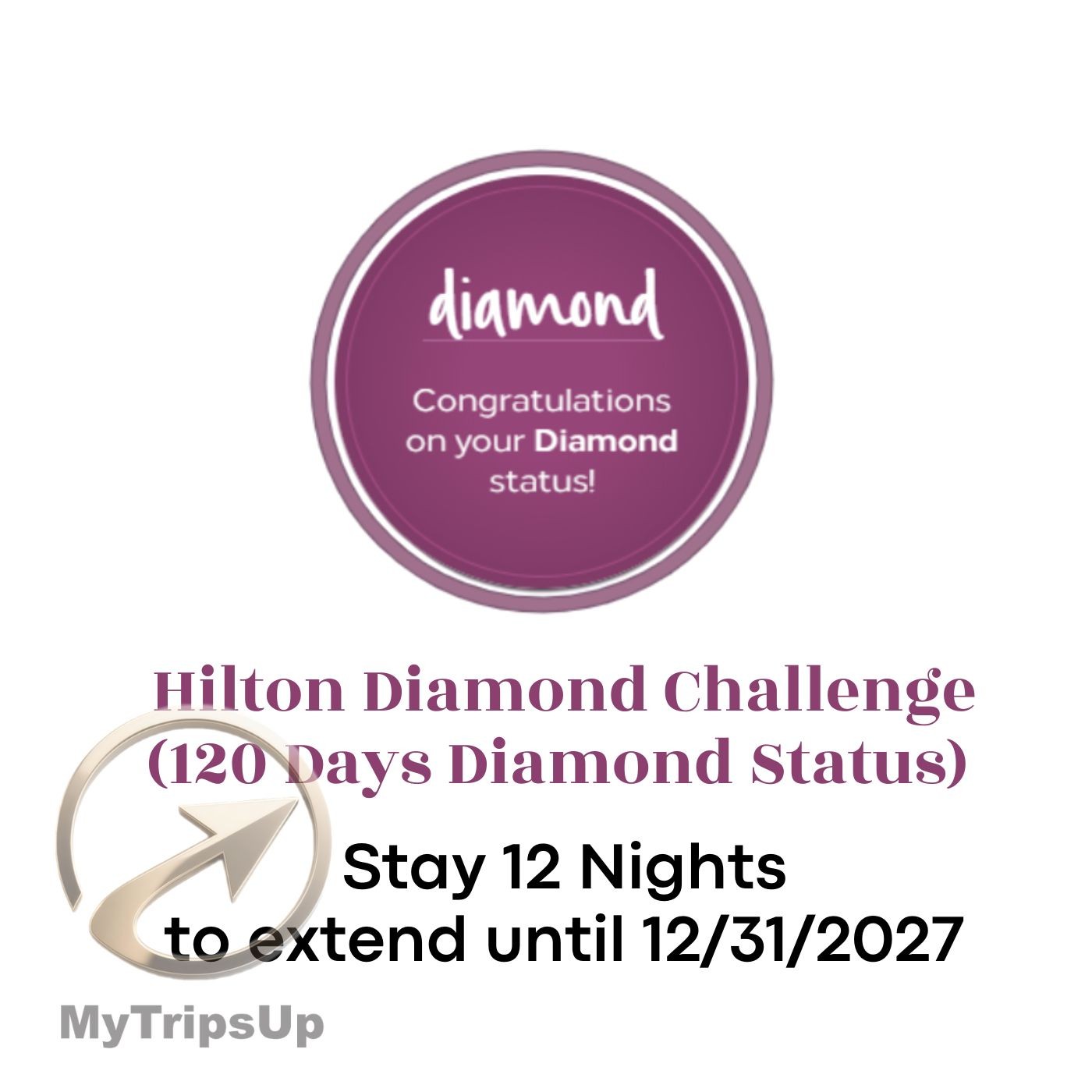Hilton Diamond Challenge (120 days Diamond status)