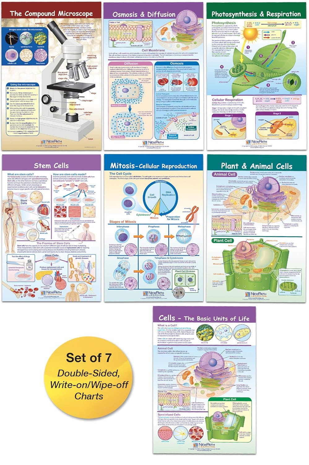 Cells Bulletin Board Chart Set, Grades 3-5, 12 X 18 Inch, Full Color