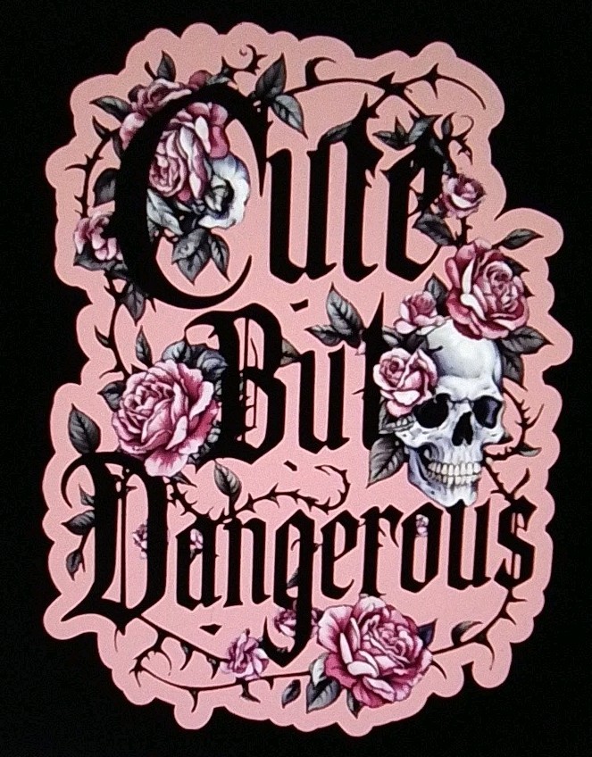 Iron On Heat Transfer Decal On 8.5x11 Sheet