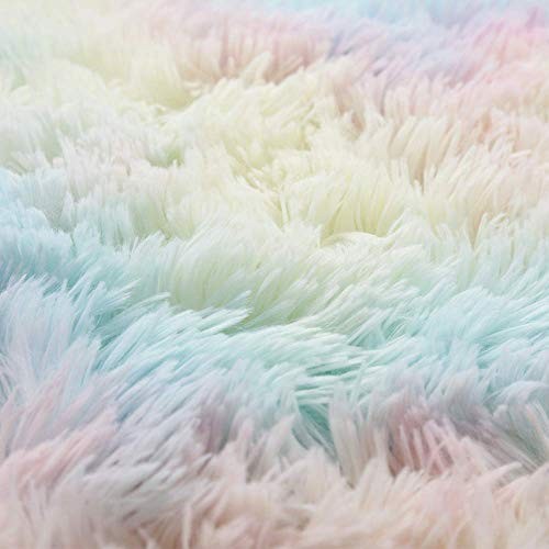  Luxury Velvet Shag Area Rug Rainbow Indoor Plush Fluffy Rugs, Extra 5x8 Feet