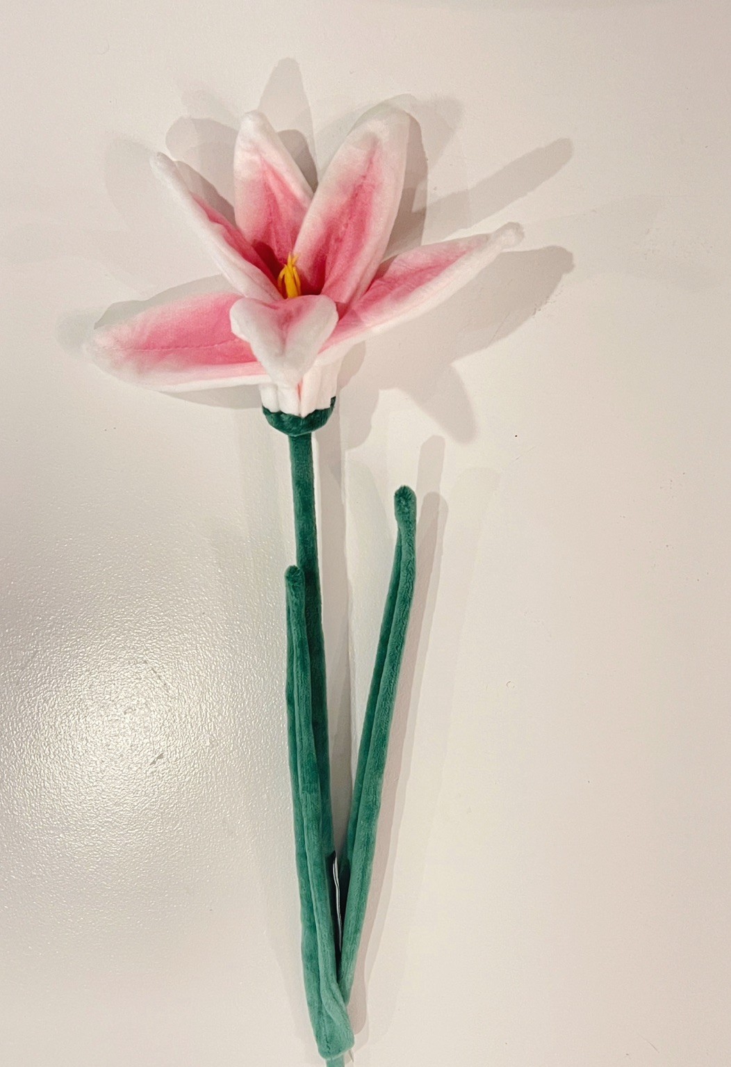 CJ Hendry Flower Shop bloom