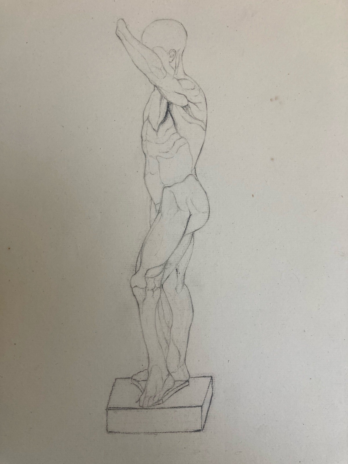 Beautiful Drawing Art Anatomical Anatomy Hand Pencil Muscle 1850 Curiosity Body