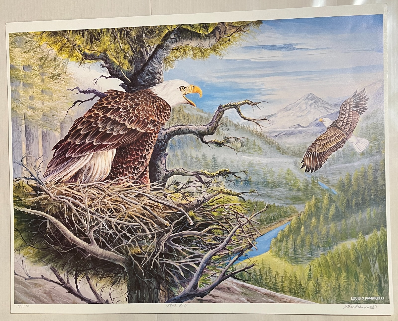 Vintage Eagle Lithograph by Artist Louis G. Panarelli Signed ~Ltd Ed # 56 of 750