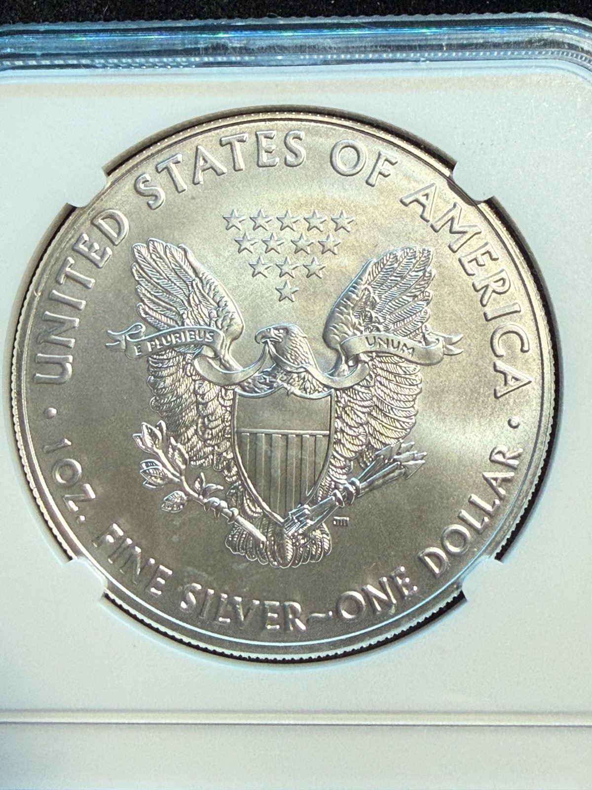 2020 (P) AMERICAN SILVER EAGLE EMERGENCY PRODUCTION NGC MS 69 376