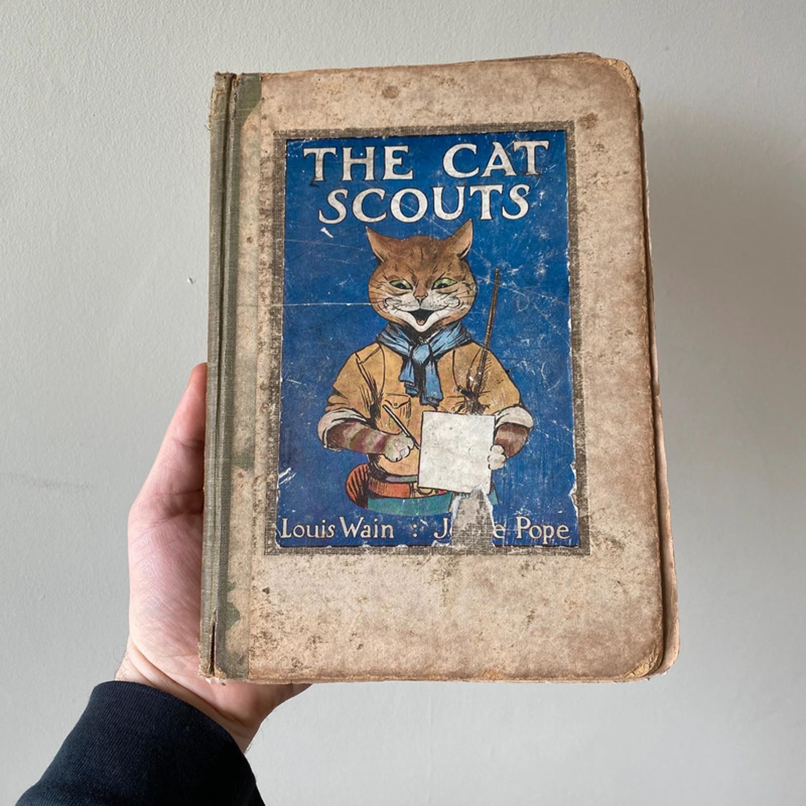 Original Antique Louis Wain Cat Book Lithographs Throughout