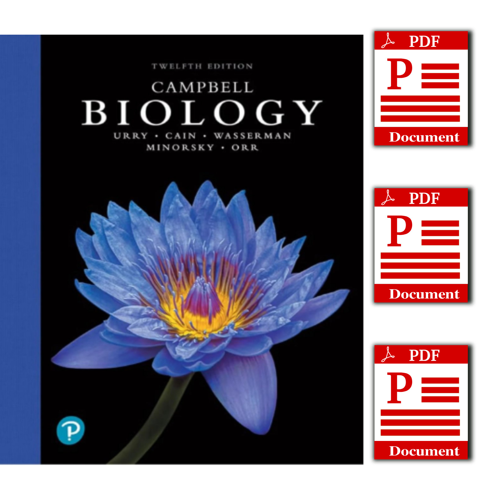 Campbell Biology 12th Edition