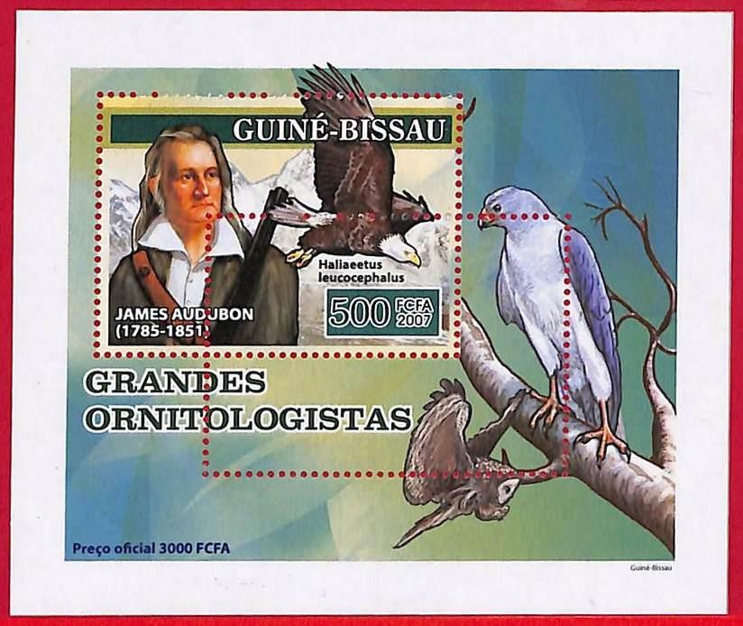 A5039 - GUINE-BISSAU - ERROR MISPERF Stamp Sheet - 2007 - BIRDS, J.Audubon