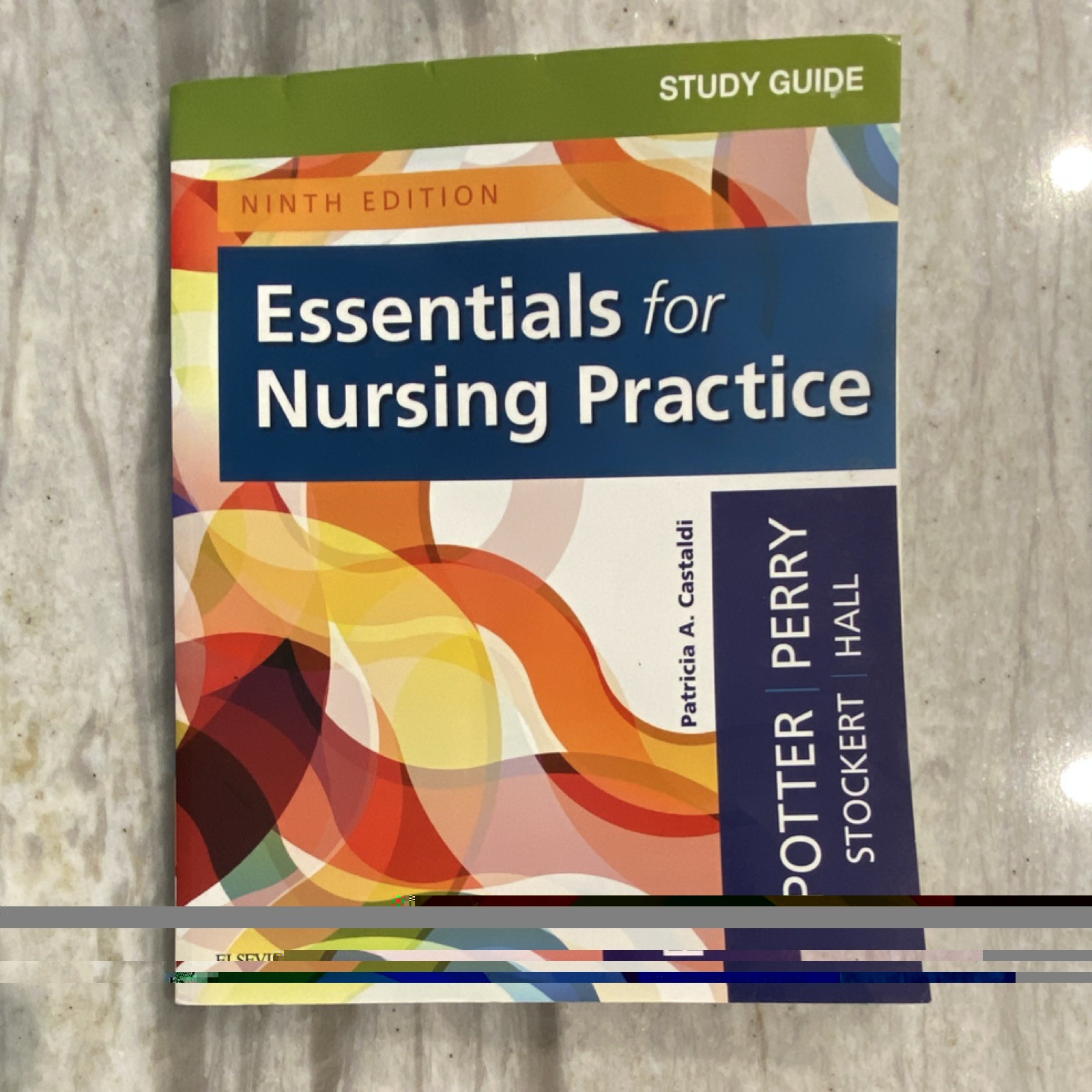 Essentials for Nursing Practice Study Guide 9th Ed by Potter Perry Stockert Hall