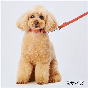 Soft Skip Dog Collar L, Red (Wholesale)