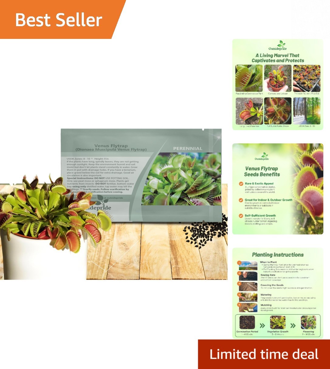 10 Perennial Venus Flytrap Seeds - Low Maintenance, Disease Resistant Houseplant