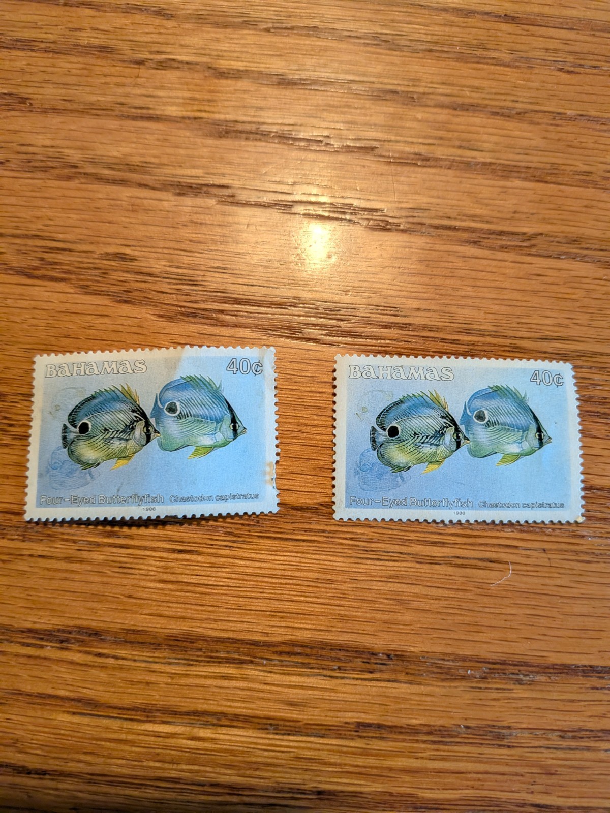 (2) Bahamas 40 Cent Stamps Four Eyed Butterfly Fish